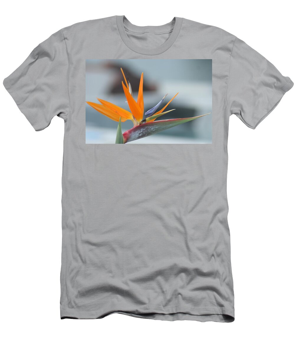 Bird Of Paradise T-Shirt featuring the photograph Bird of Paradise by PJQandFriends Photography