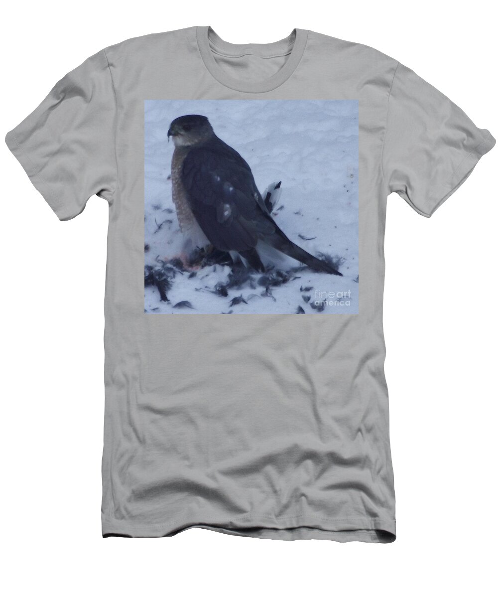 White Tailed Hawk T-Shirt featuring the photograph Bird of Prey by Michelle Welles