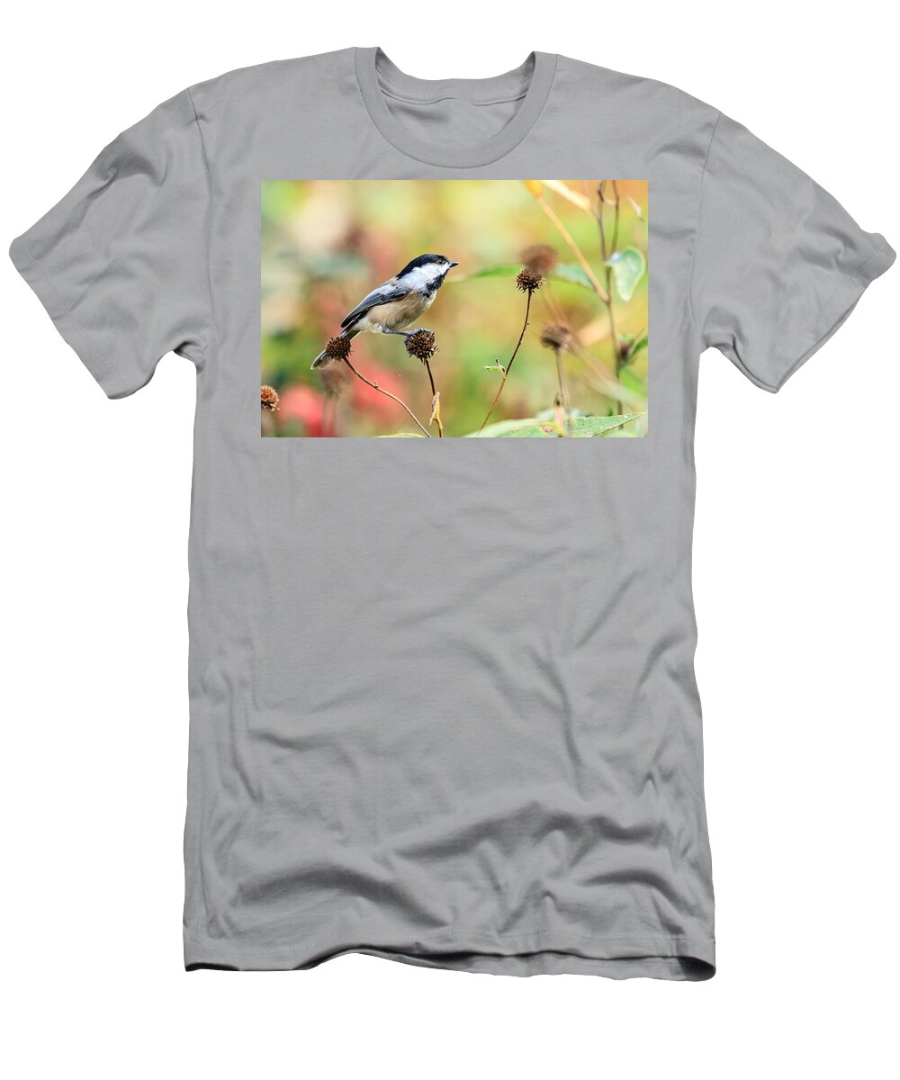 Black Capped Chickadee T-Shirt featuring the photograph Black Capped Chickadee 1 by Ben Graham
