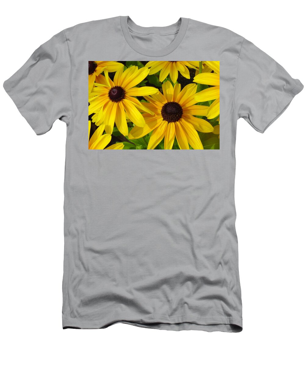 Black Eyed Susan T-Shirt featuring the photograph Black Eyed Susans by Suzanne Gaff