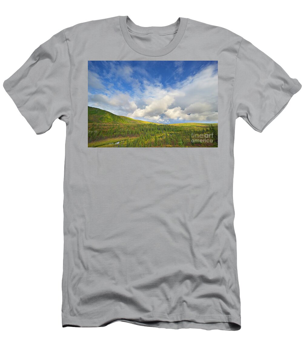 00431045 T-Shirt featuring the photograph Black Spruce on Fall Tundra by Yva Momatiuk John Eastcott