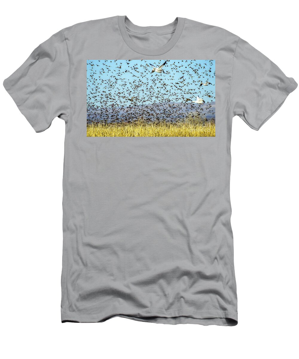 Birds T-Shirt featuring the photograph Blackbirds and Geese by Steven Ralser