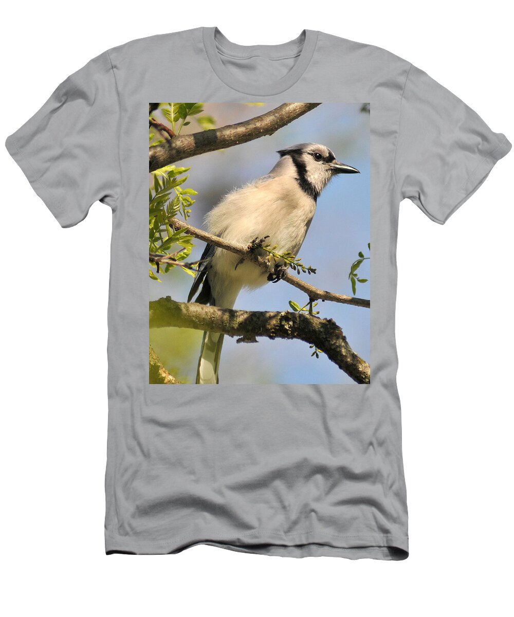 Bluejay T-Shirt featuring the photograph Bluejay 310 by Gene Tatroe