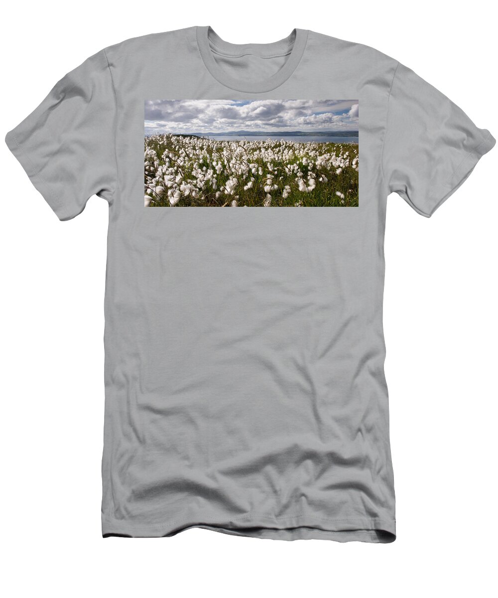 Binevenagh T-Shirt featuring the photograph Bog Cotton on Binevenagh by Nigel R Bell