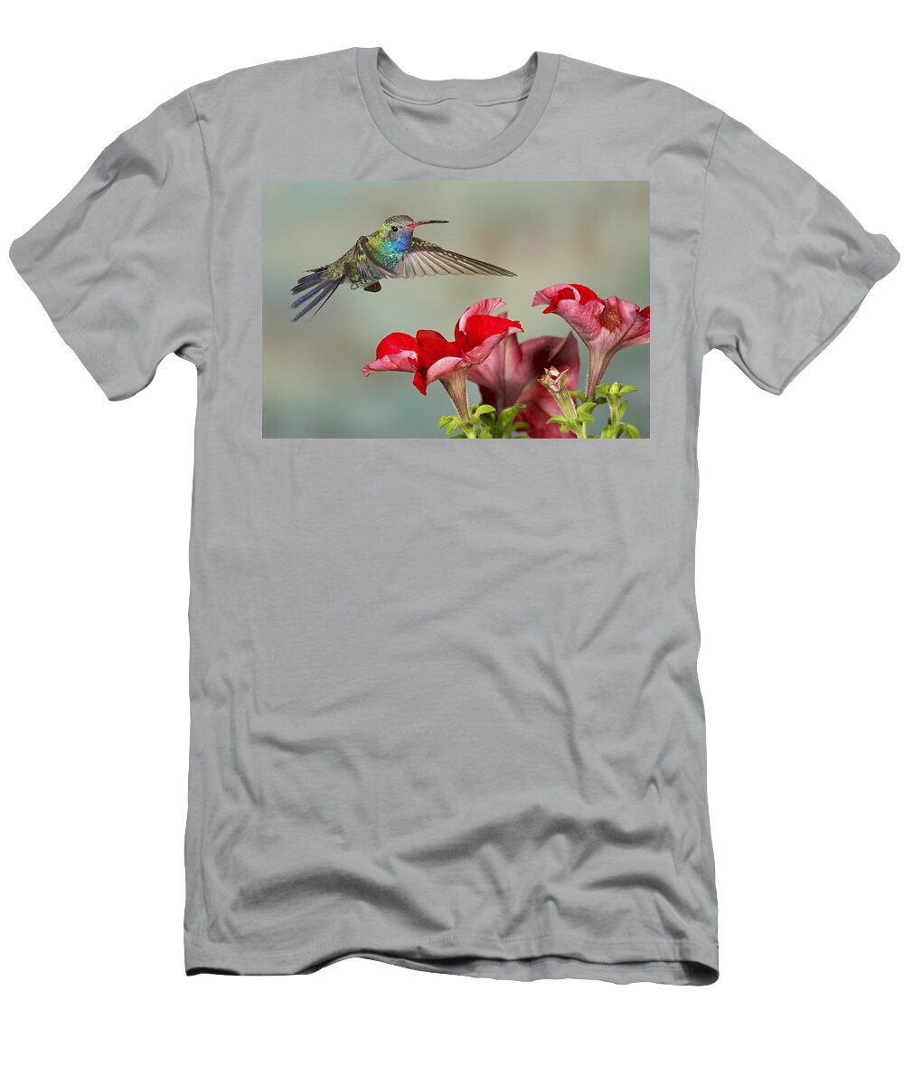 Action T-Shirt featuring the photograph Broad billed Hummingbird 4 by Jack Milchanowski