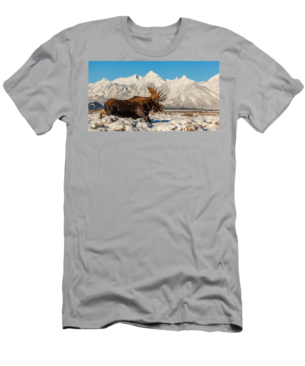 Moose T-Shirt featuring the photograph Clearing Sky by Kevin Dietrich