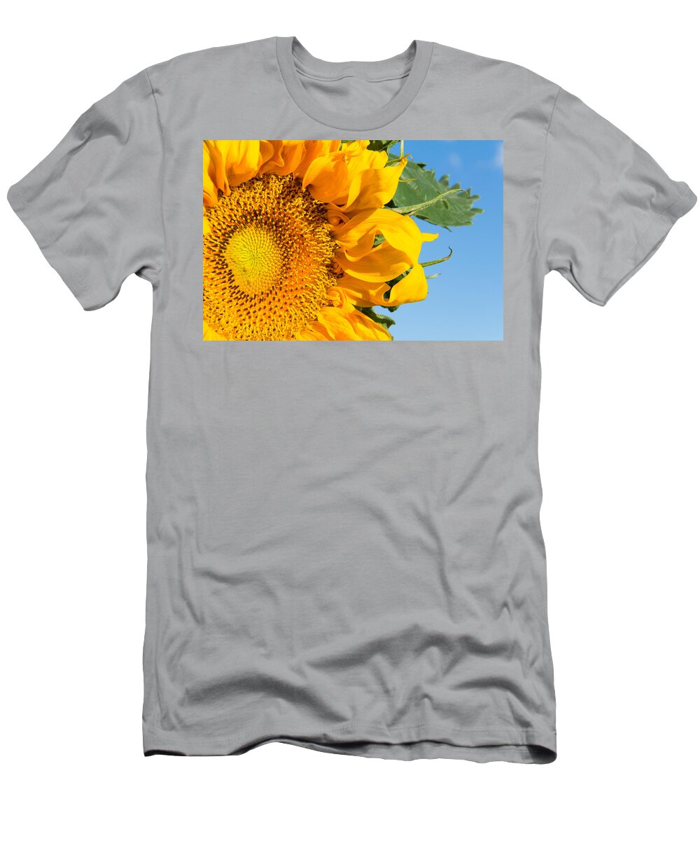 Flower T-Shirt featuring the photograph Closeup of Bright Sunflower with Blue Sky by Tony Hake