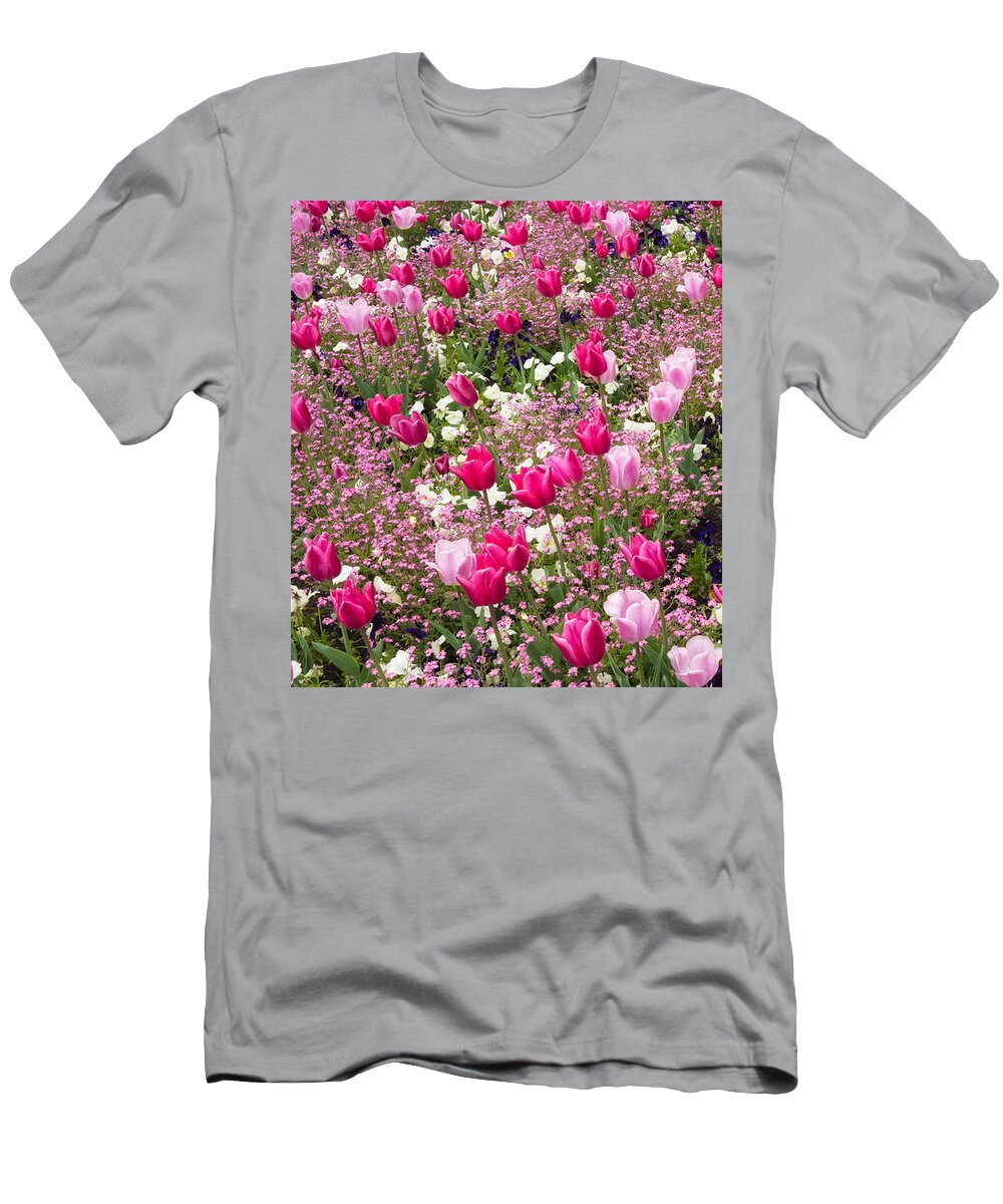 Flowers T-Shirt featuring the photograph Colorful pink tulips and other flowers in spring by Matthias Hauser