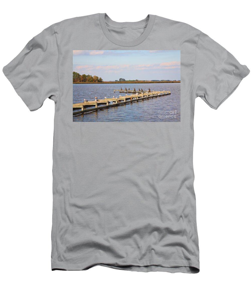Abandoned T-Shirt featuring the photograph Cormorants and Seagulls on Old Dock near Blackwater National Wildlife Refuge near Cambridge MD by William Kuta