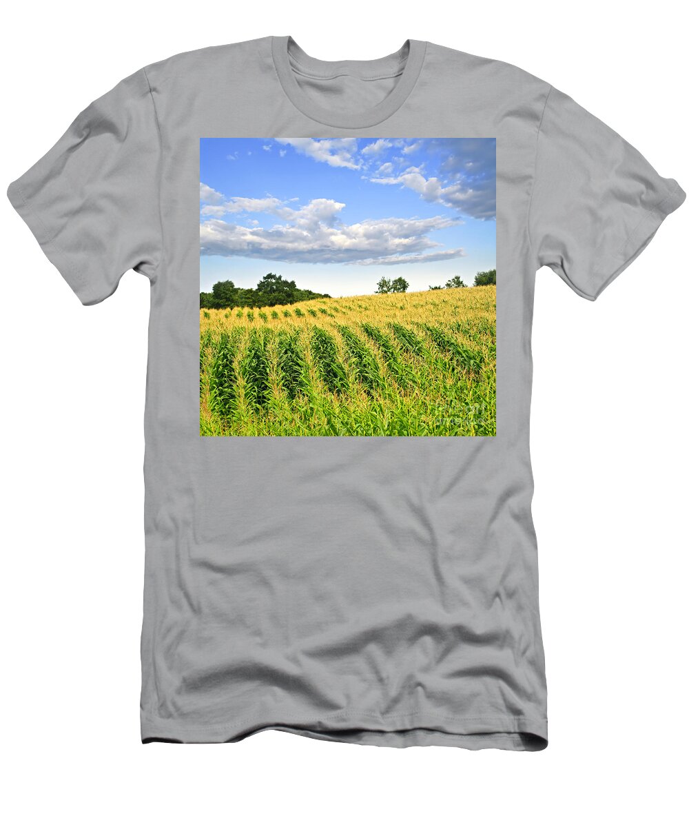 Agriculture T-Shirt featuring the photograph Corn field 1 by Elena Elisseeva