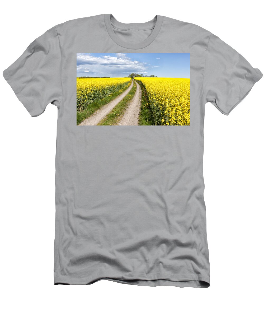 Fields T-Shirt featuring the photograph Country road through the fields by Mike Santis