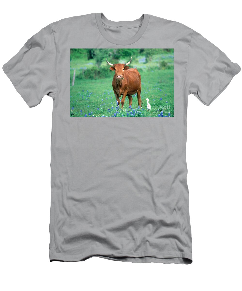 Mixed Breed Cow T-Shirt featuring the photograph Cow And Cattle Egret by Alan and Sandy Carey