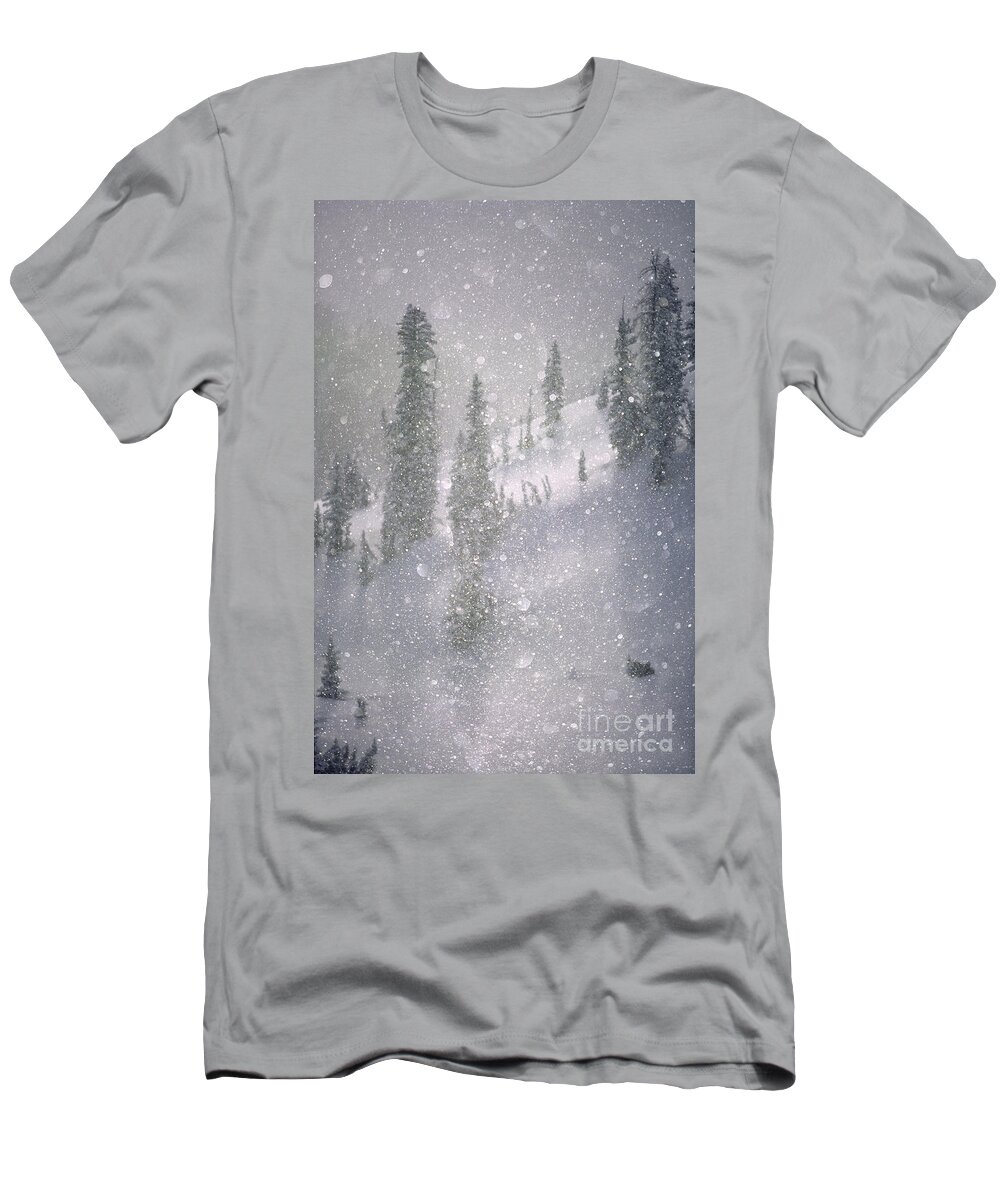 North America T-Shirt featuring the photograph Crystalized snowflakes falling while being backlit by the sun by Don Landwehrle