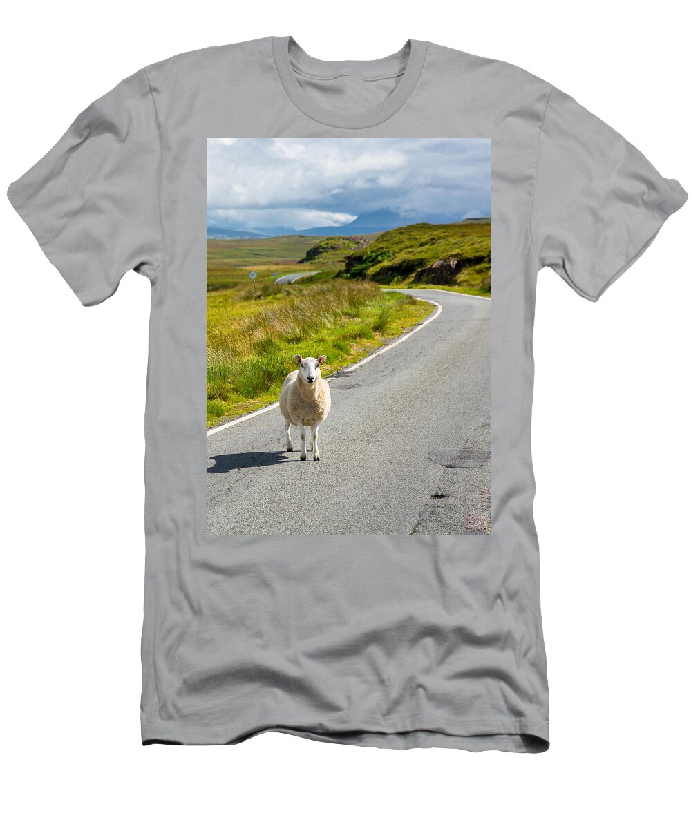Scotland T-Shirt featuring the photograph Curious Sheep On Scottish Road by Andreas Berthold