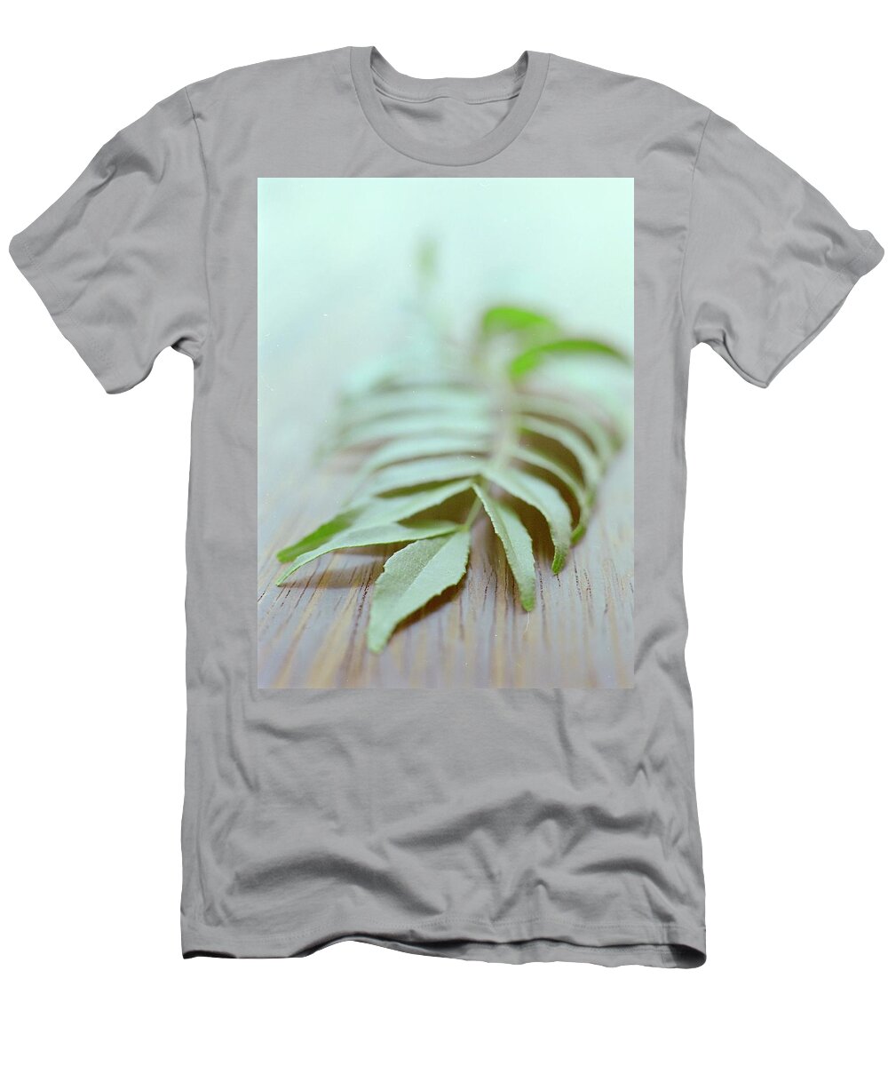 Cooking T-Shirt featuring the photograph Curry Leaves by Romulo Yanes