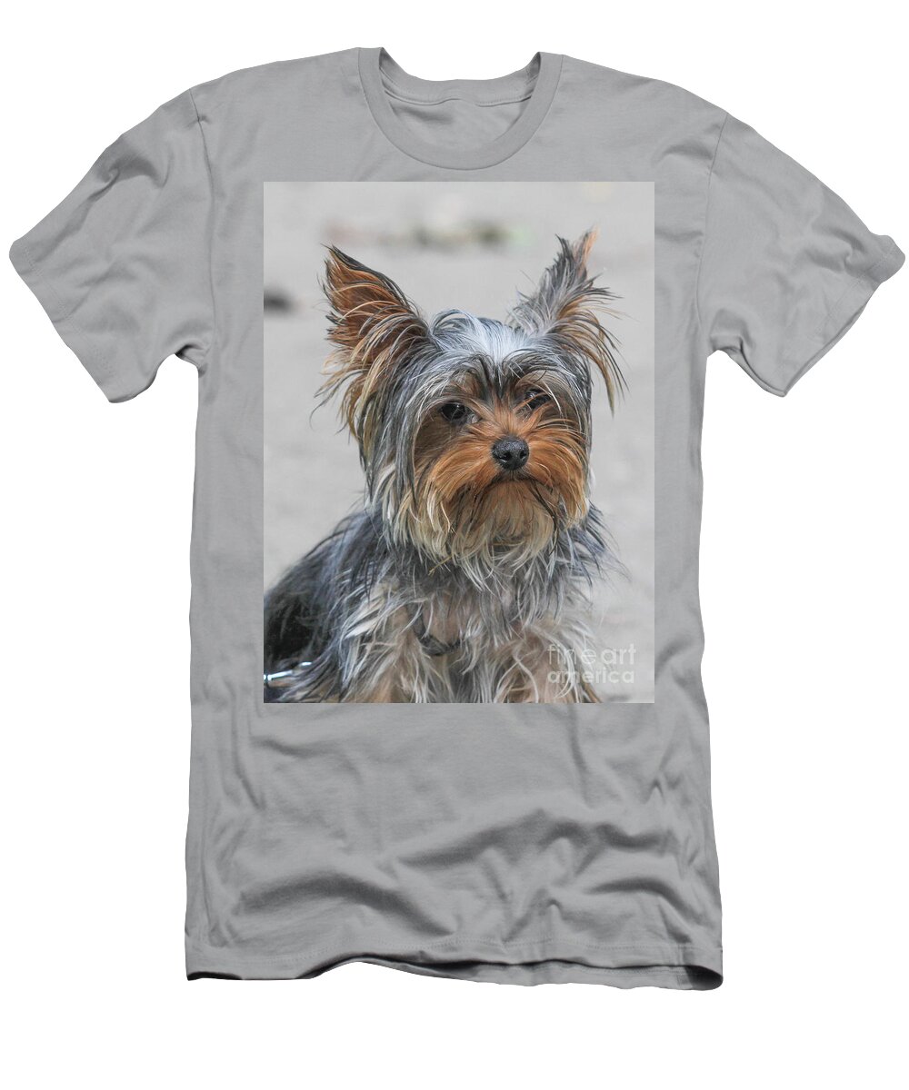 Domestic Dog T-Shirt featuring the photograph Cute Yorky Portrait by Jivko Nakev