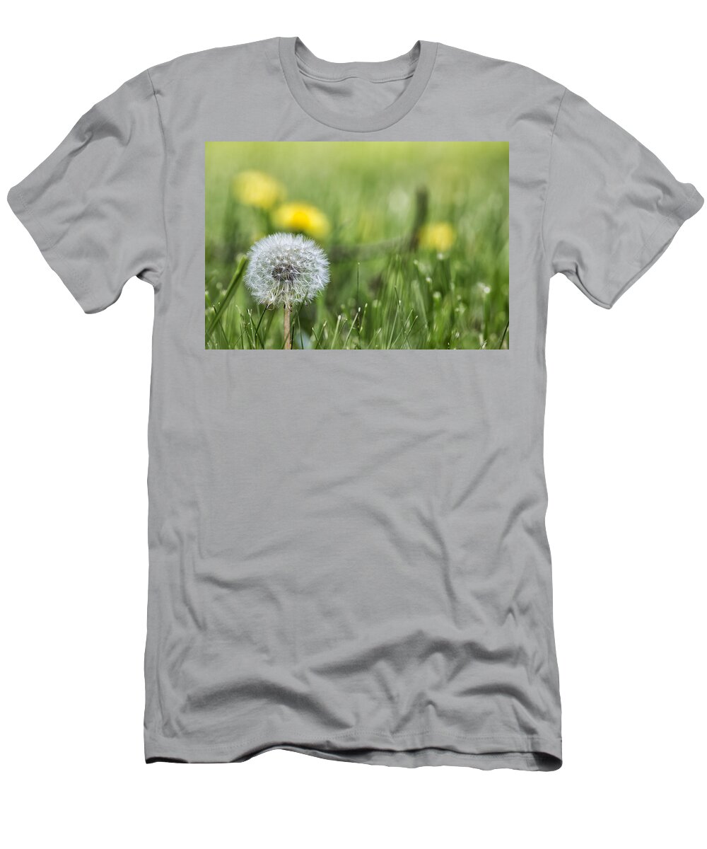 Dandelion T-Shirt featuring the photograph Dandelion Don't Tell No Lies by Belinda Greb