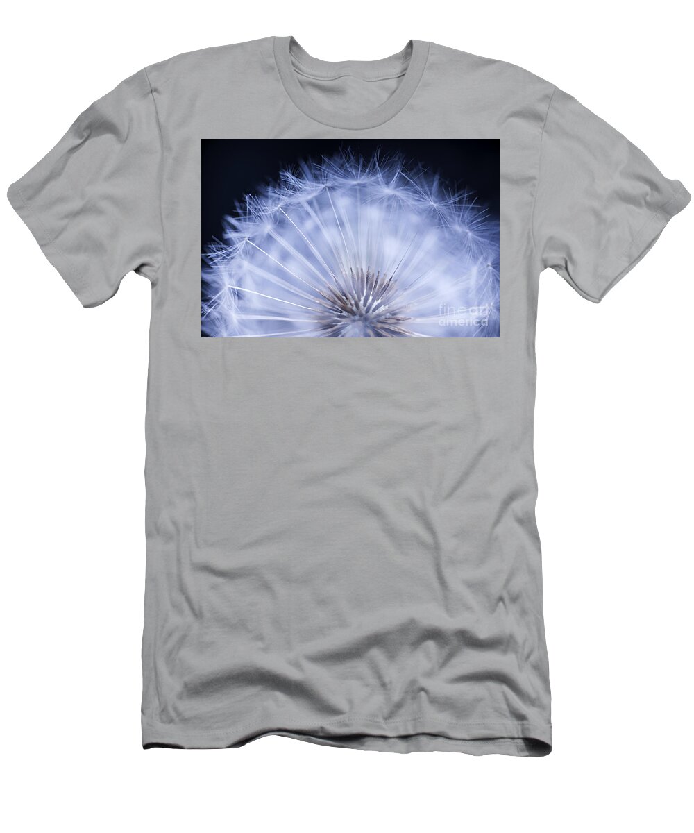 Dandelion T-Shirt featuring the photograph Dandelion rising by Elena Elisseeva