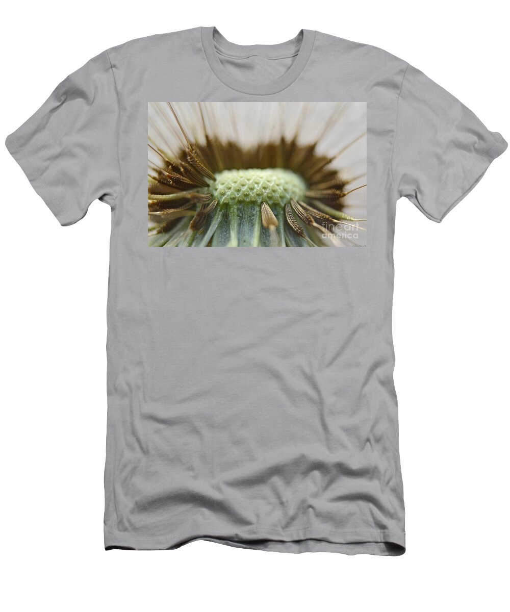 Nature T-Shirt featuring the photograph Dandelion Seed macro by Debbie Portwood