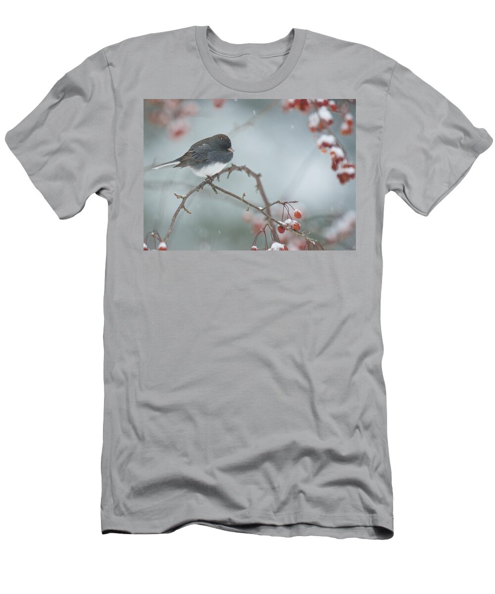 Bird T-Shirt featuring the photograph Dark-eyed Junco -- Decisions decisions by Kristin Hatt