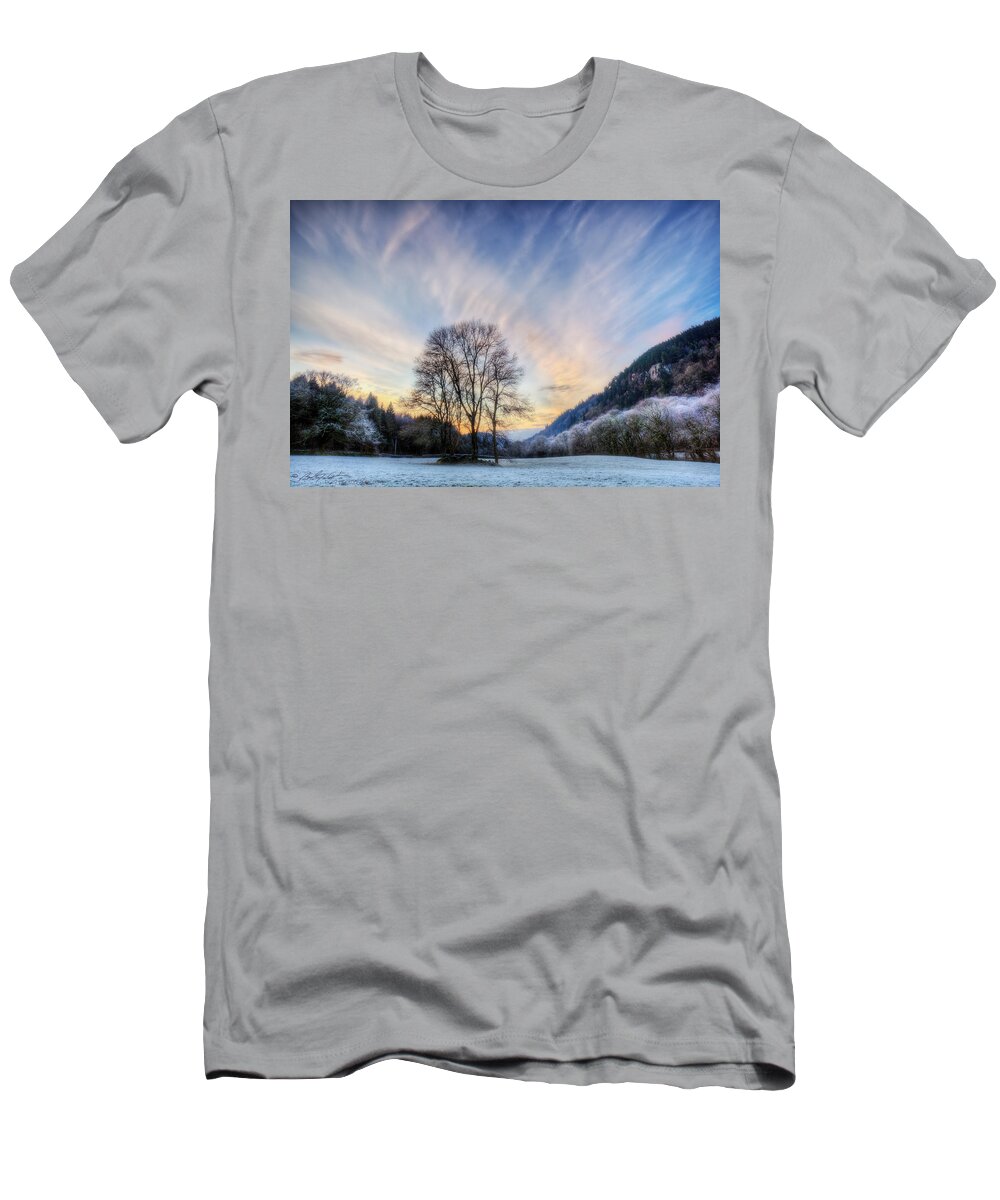 Winter T-Shirt featuring the photograph Deep frost by B Cash