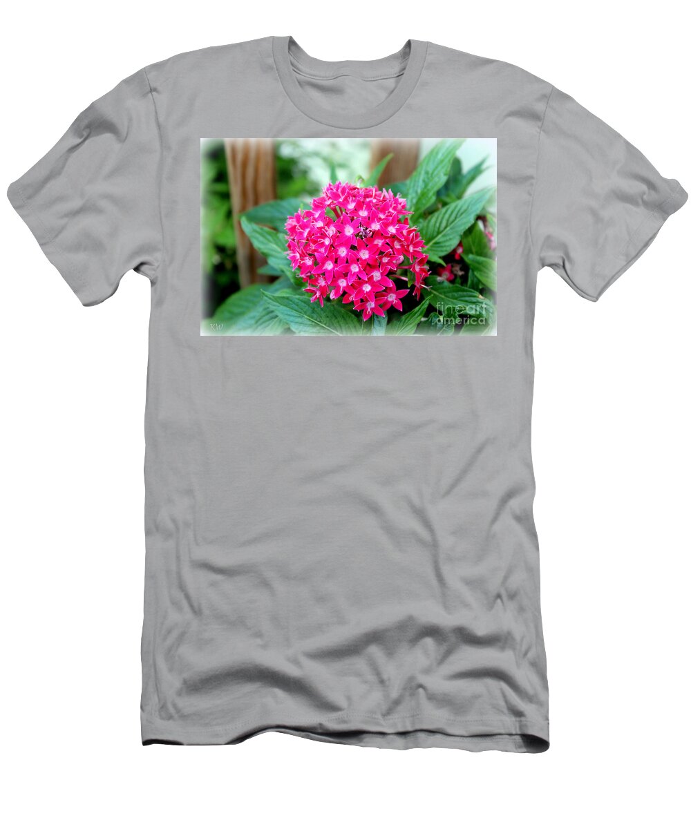 Deep Pink Pentas T-Shirt featuring the photograph Deep Pink Pentas or Star Flower by Kathy White