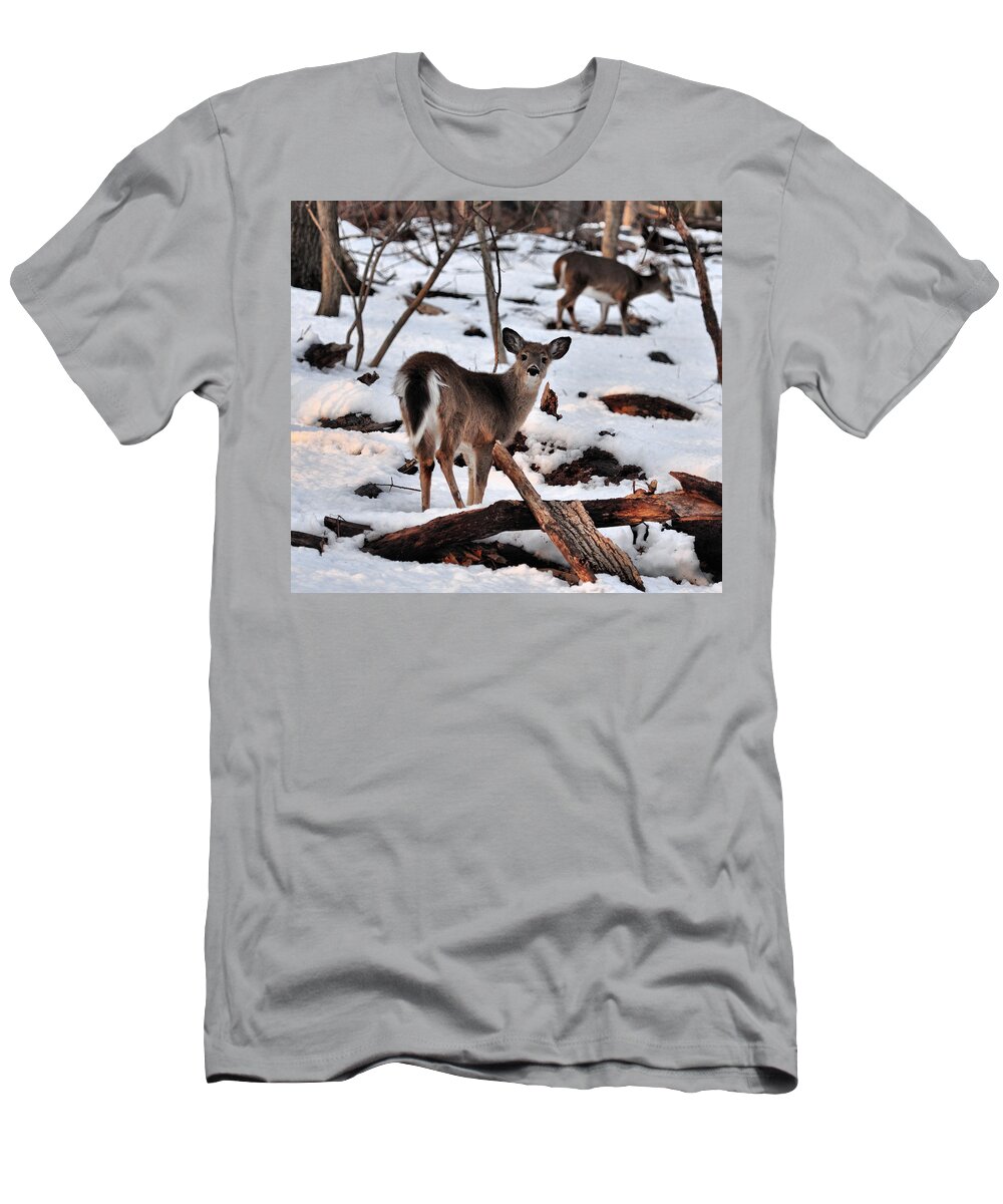Deer T-Shirt featuring the photograph Deer and Snow by Russel Considine