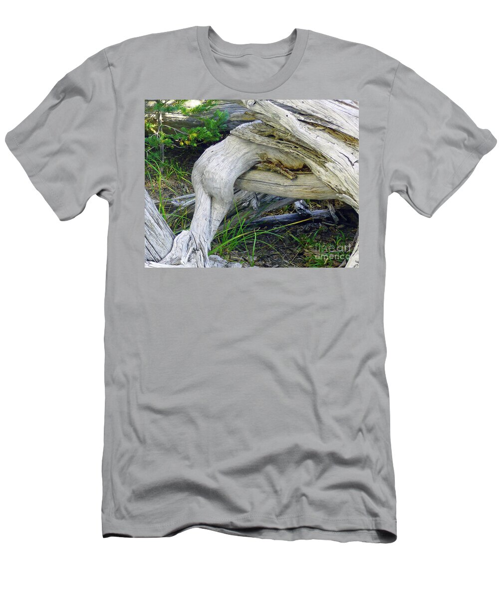 Abstract T-Shirt featuring the photograph Devoured by Lauren Leigh Hunter Fine Art Photography
