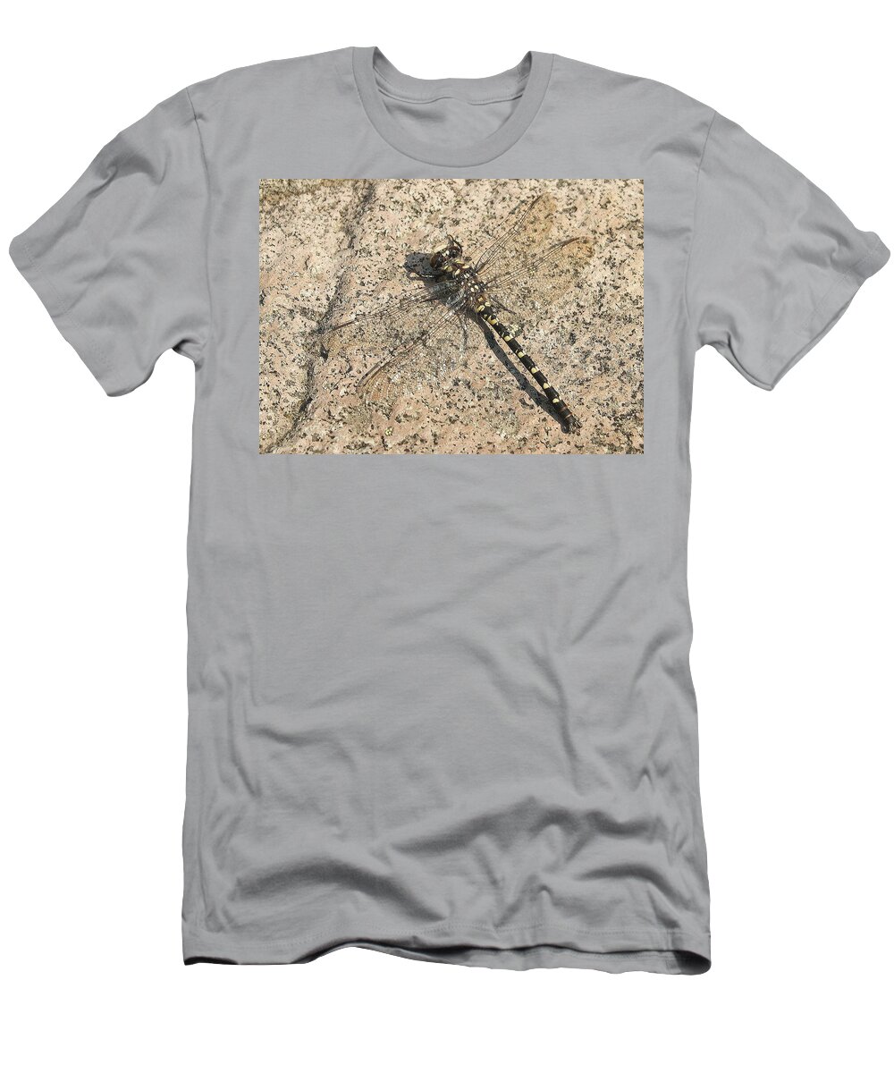 Dragonfly T-Shirt featuring the photograph Dragonfly on the rocks by Beth Collins