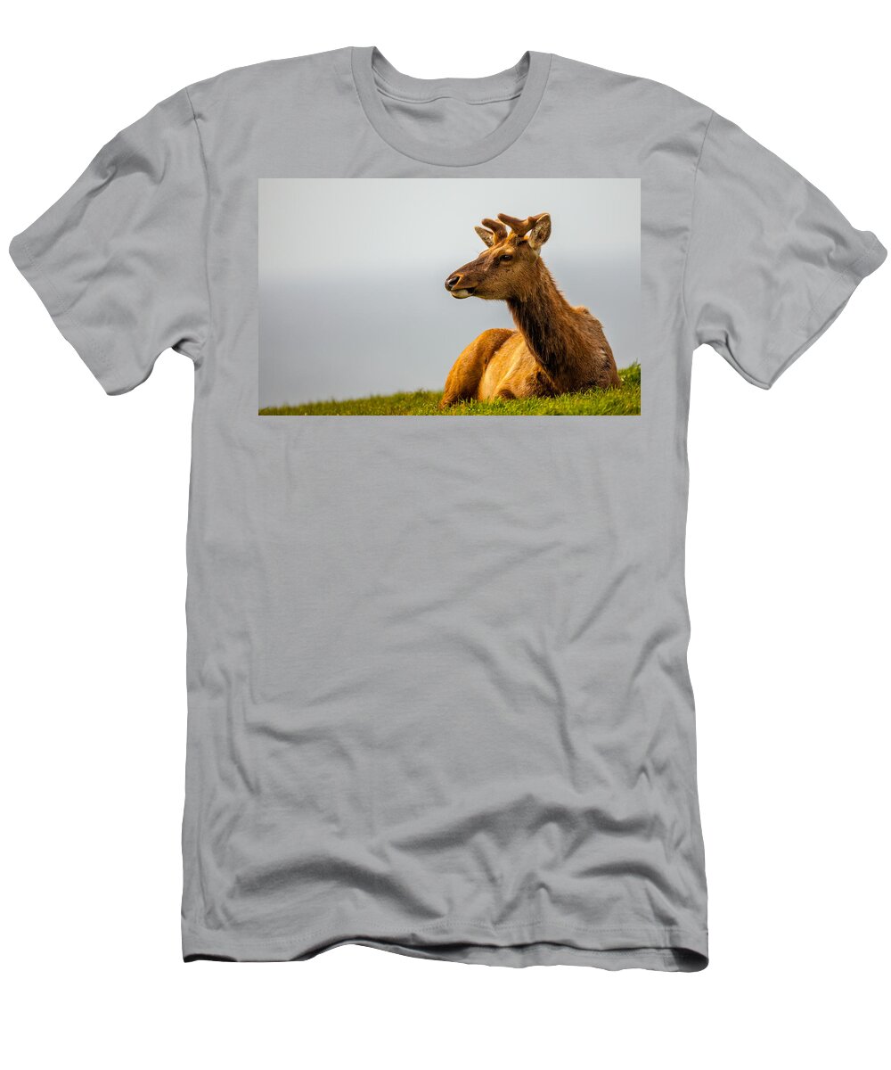 Big Horn Sheep T-Shirt featuring the photograph Drake Elk by Kevin Dietrich