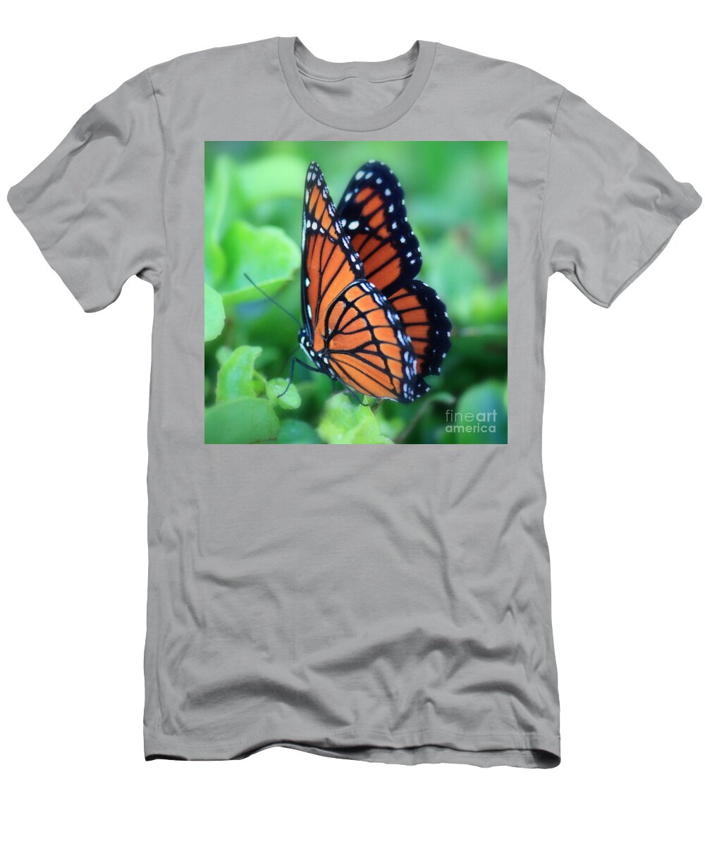 monarch t shirts