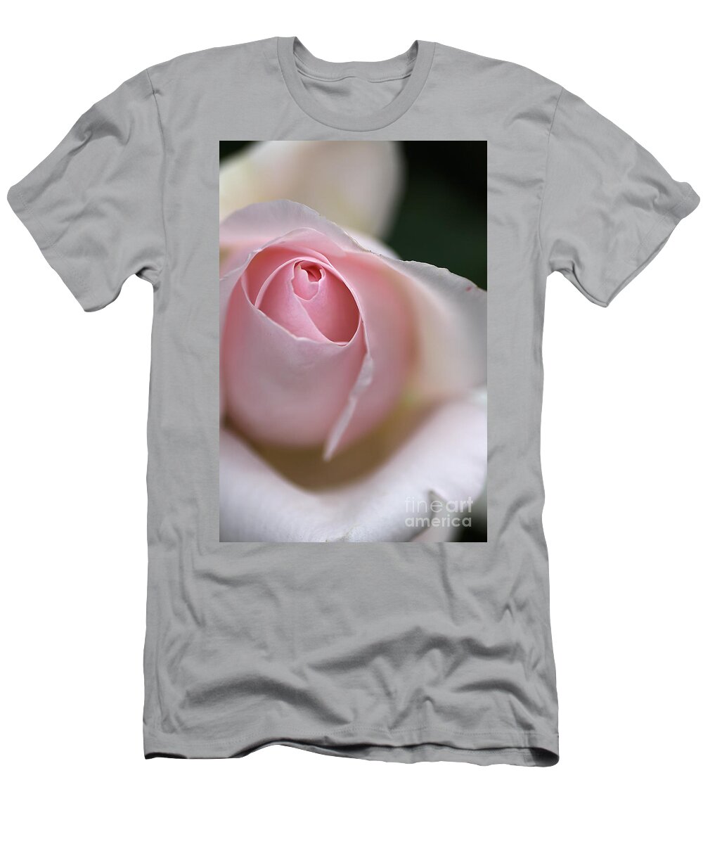 Floribunda Rose T-Shirt featuring the photograph Dreamy Rose by Joy Watson