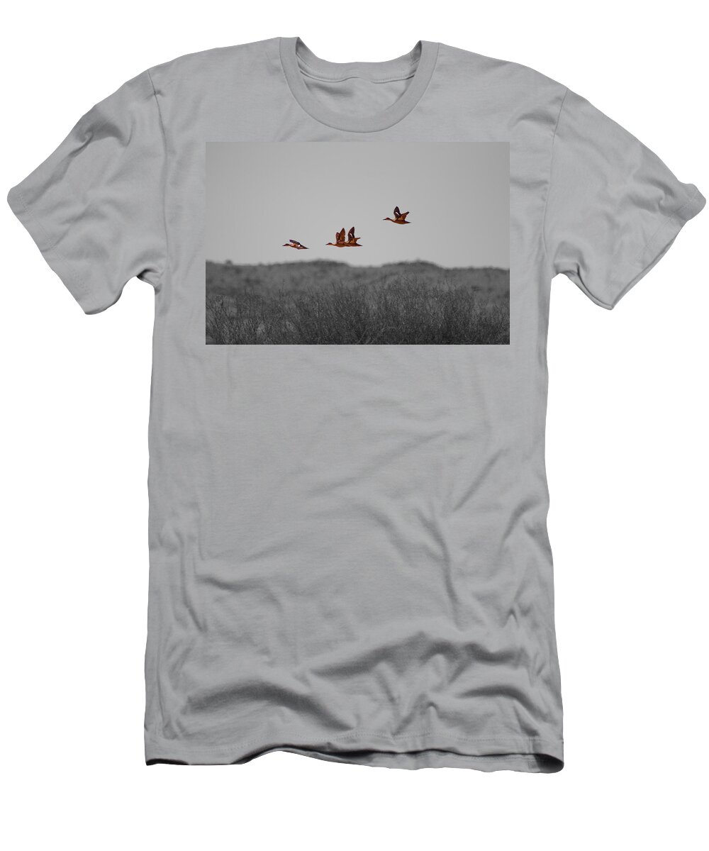 Ducks In Flight T-Shirt featuring the photograph Ducks in Flight by Douglas Barnard
