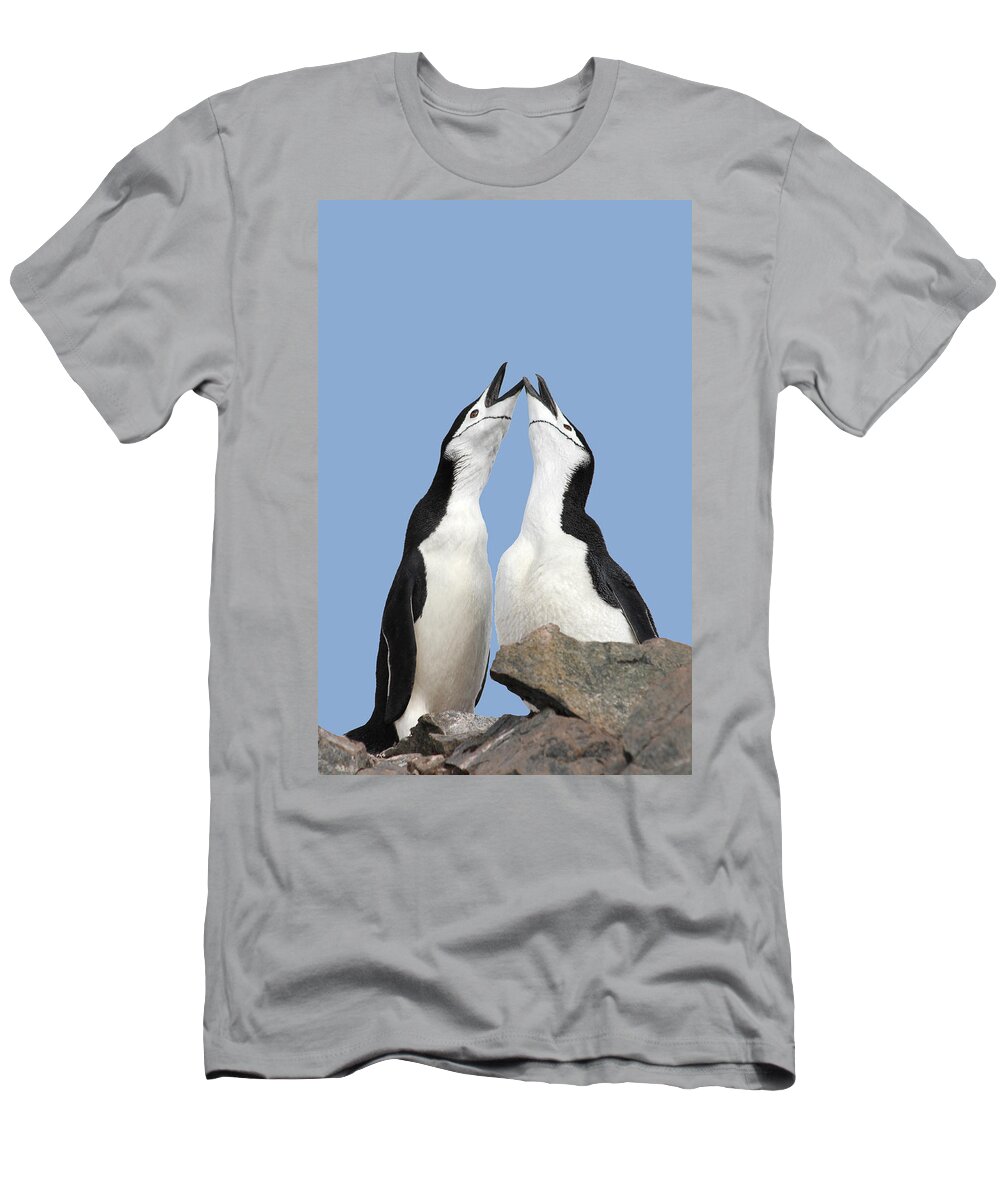 Wildlife T-Shirt featuring the photograph Duet by Ginny Barklow