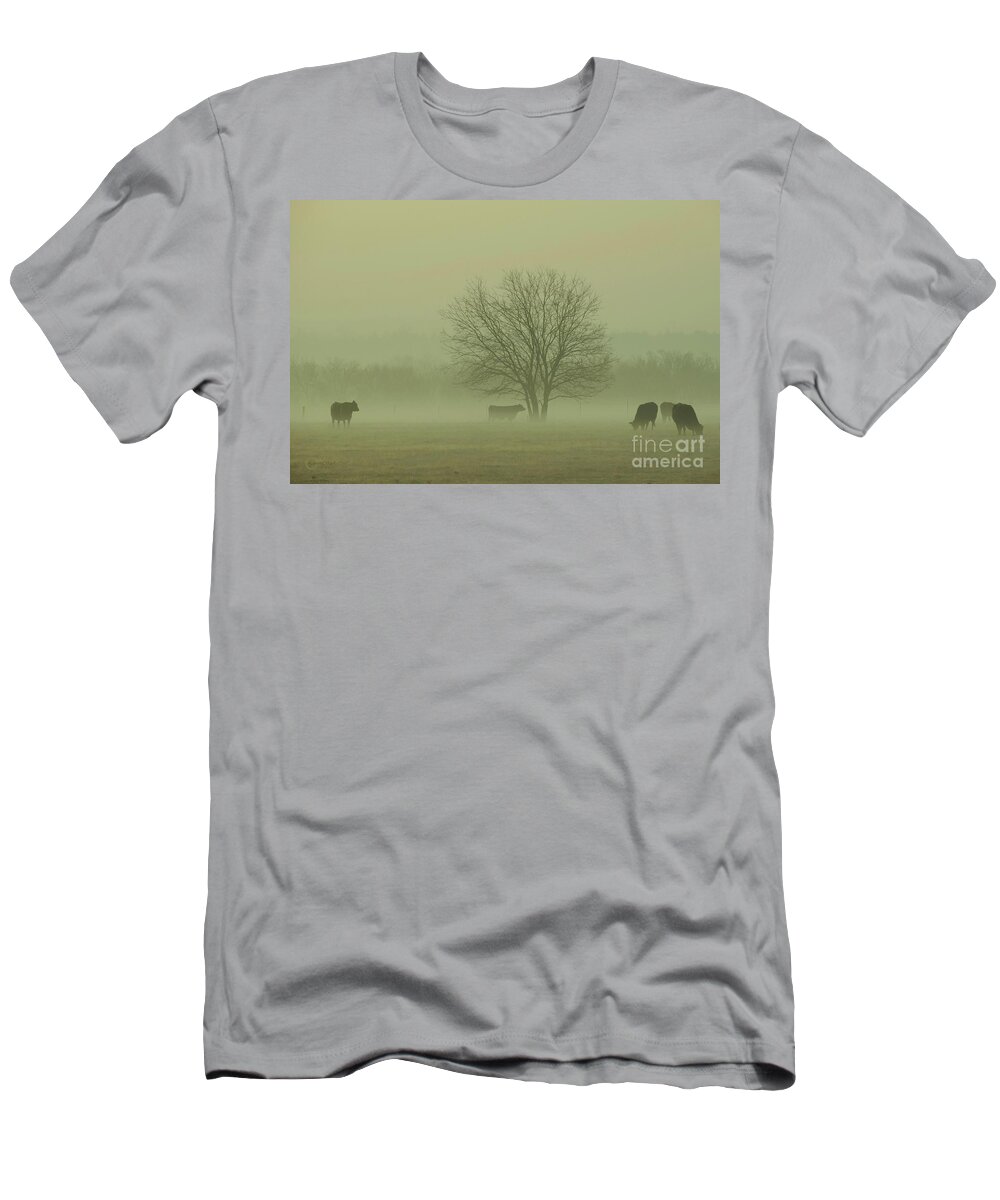 Morning Fog T-Shirt featuring the photograph Early Morning Fog 009 by Robert ONeil