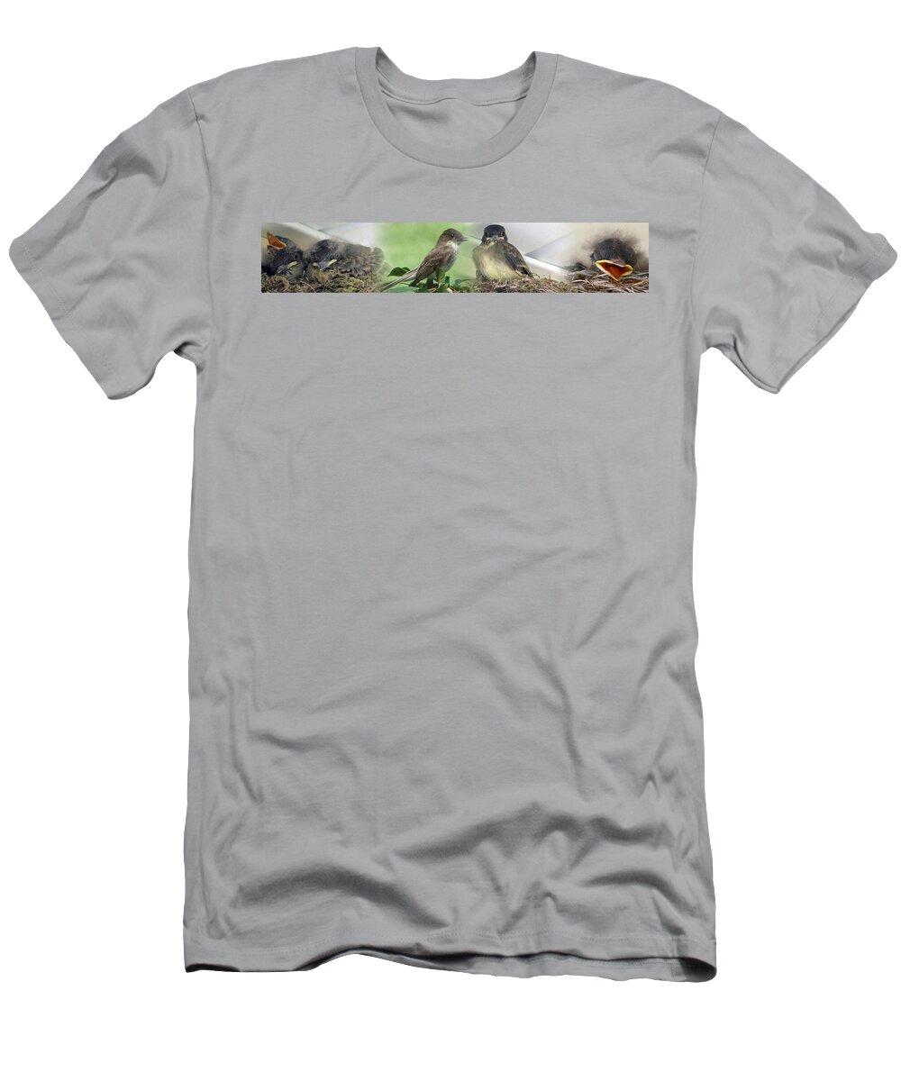 Birds T-Shirt featuring the photograph Eastern Phoebe Family by Natalie Rotman Cote