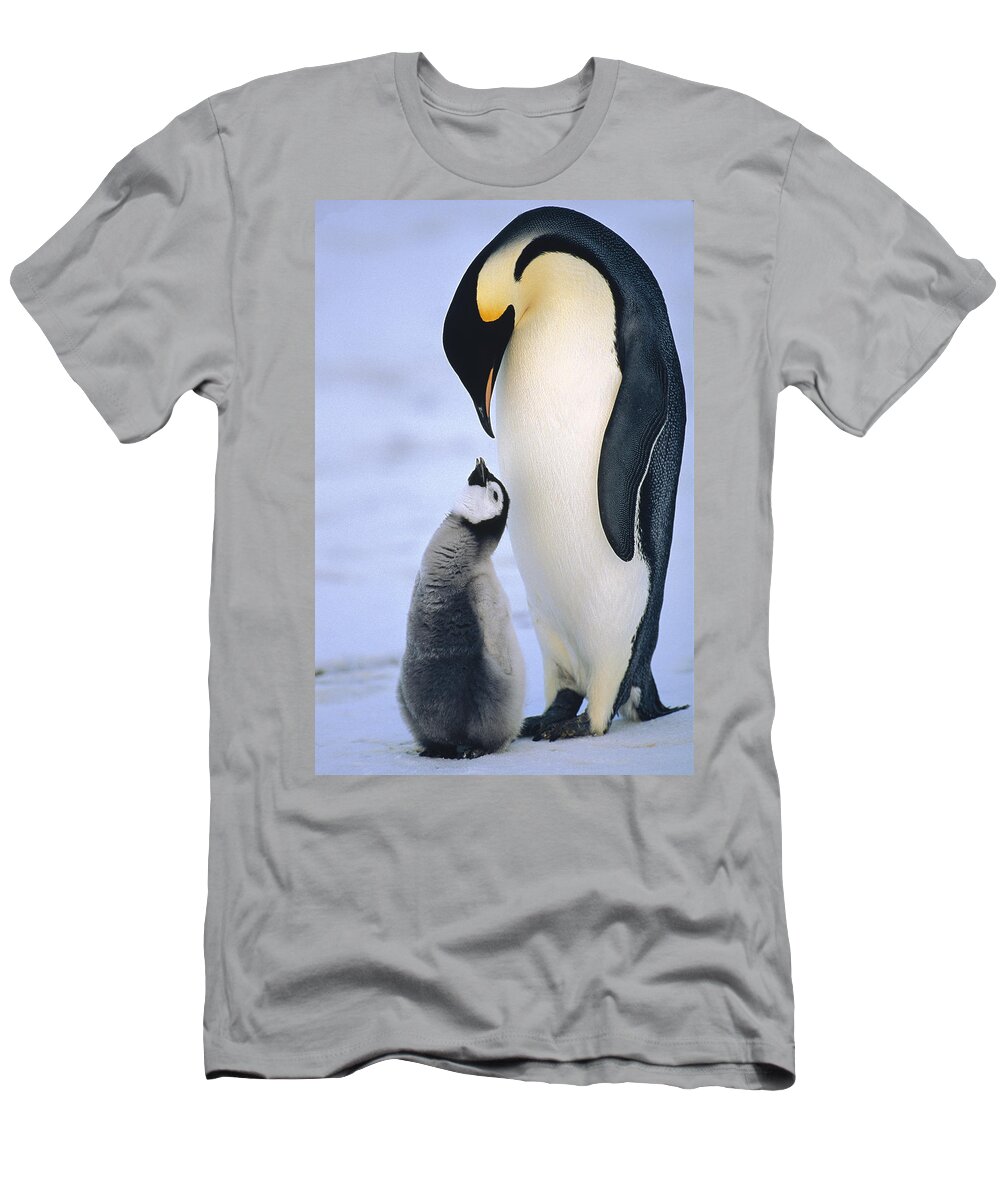 Feb0514 T-Shirt featuring the photograph Emperor Penguin Adult With Chick by Konrad Wothe