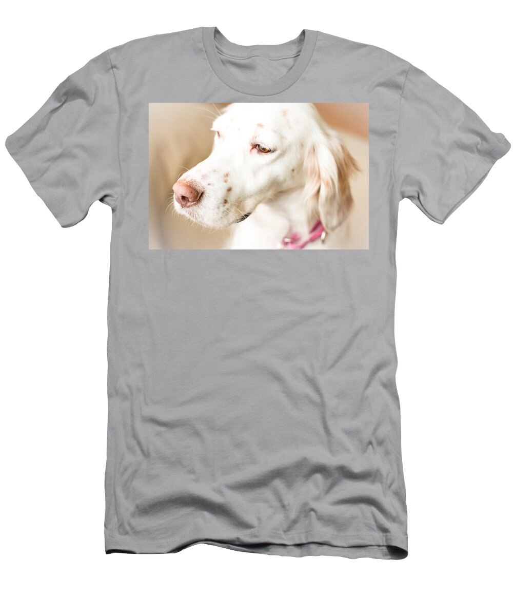 English Setter T-Shirt featuring the photograph English Setter in Natural Light by Brian Caldwell
