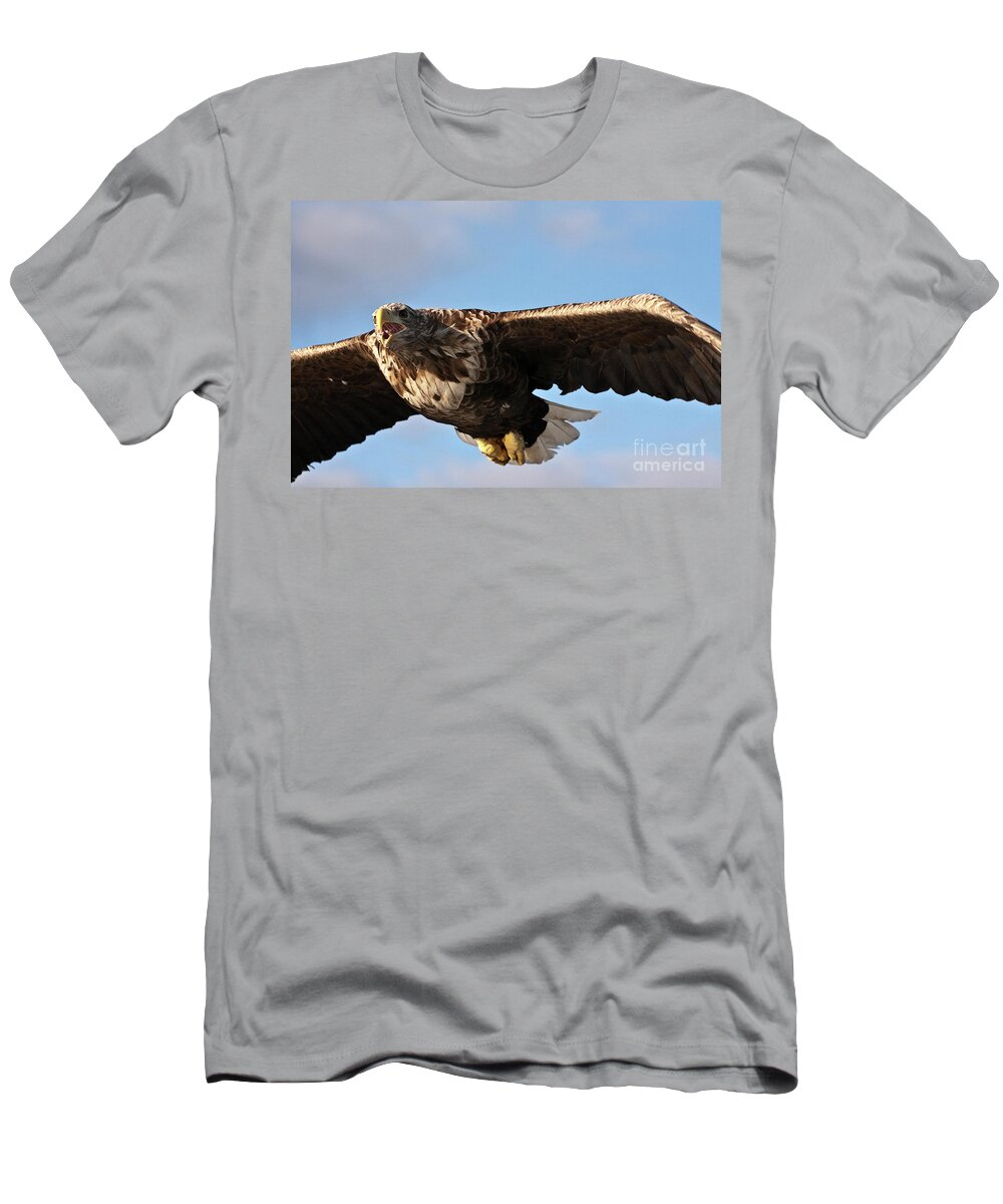 White_tailed Eagle T-Shirt featuring the photograph European Flying Sea Eagle 1 by Heiko Koehrer-Wagner