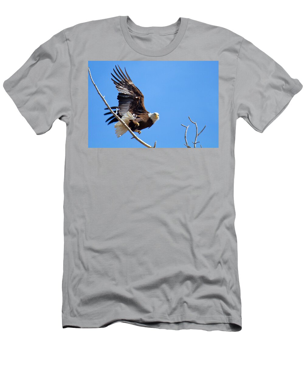 Soaring T-Shirt featuring the photograph Eye of the Eagle by Jim Garrison
