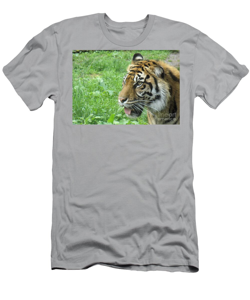Animal T-Shirt featuring the photograph Eye of The Tiger by Lingfai Leung