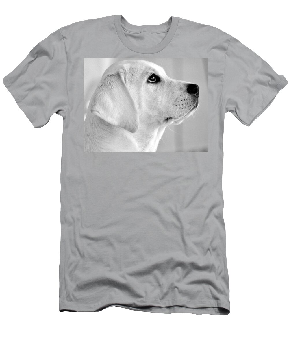 Lab Puppy T-Shirt featuring the photograph Riley's Eye on the Ball by Kristina Deane