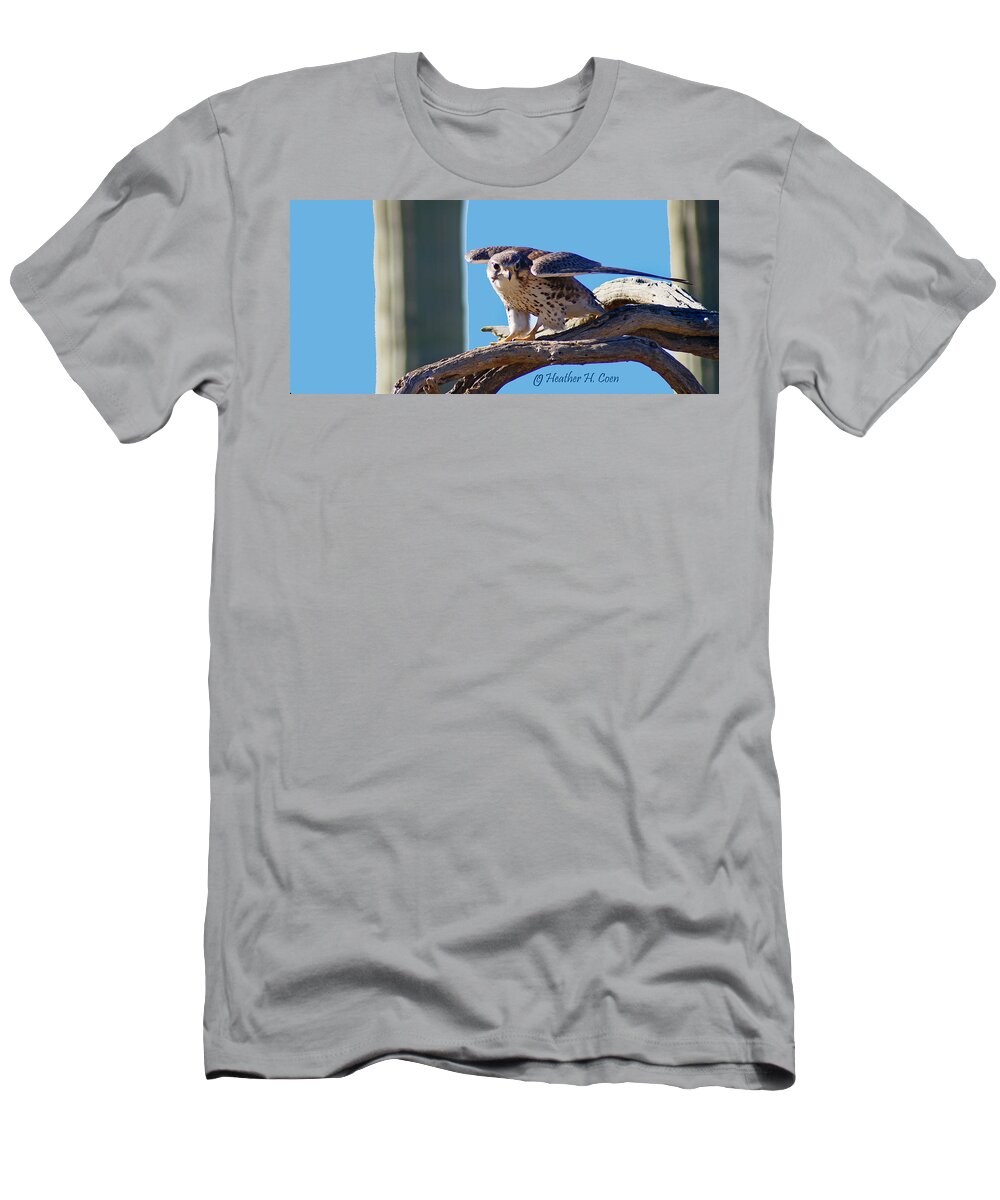 Birds T-Shirt featuring the photograph Falcon by Heather Coen