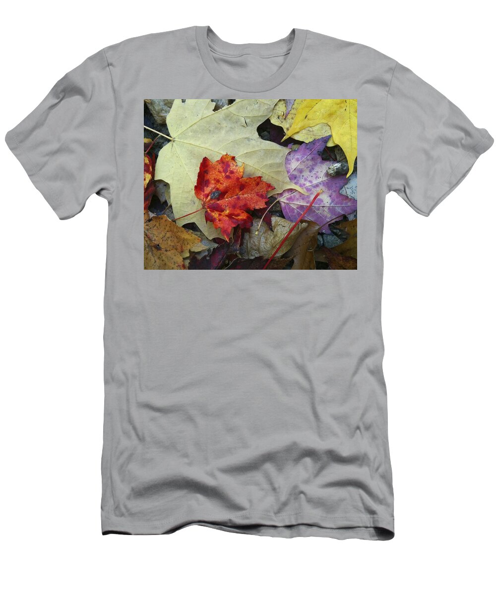 Autumn T-Shirt featuring the photograph Fall Leaves by Steve Ondrus