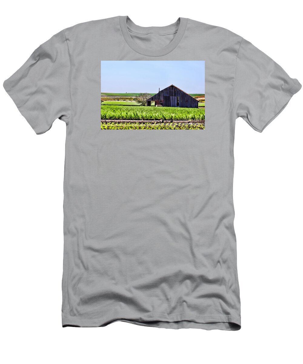 Guatalupe T-Shirt featuring the photograph Farm Land in Guatalupe by Diana Sainz by Diana Raquel Sainz