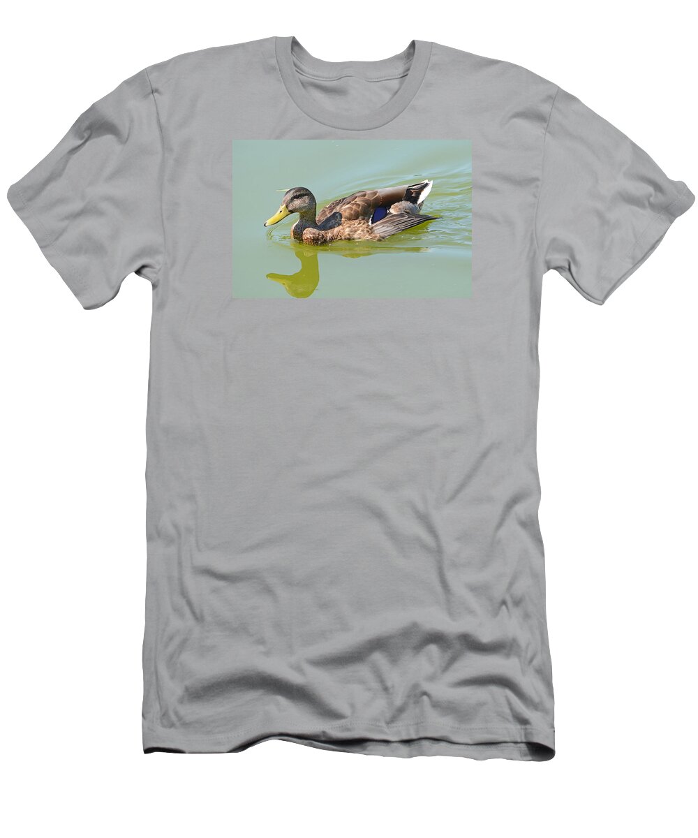 Duck T-Shirt featuring the photograph Female Mallard Duck by Susan McMenamin