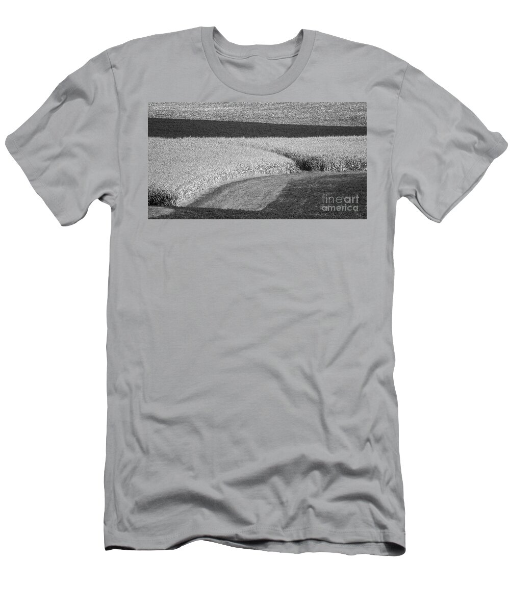 Fields T-Shirt featuring the photograph Corn Fields near Madison, WI by Steven Ralser