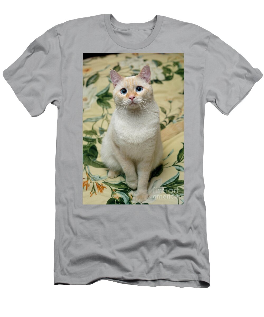 Blue Eyes T-Shirt featuring the photograph Flame Point Siamese Cat by Amy Cicconi