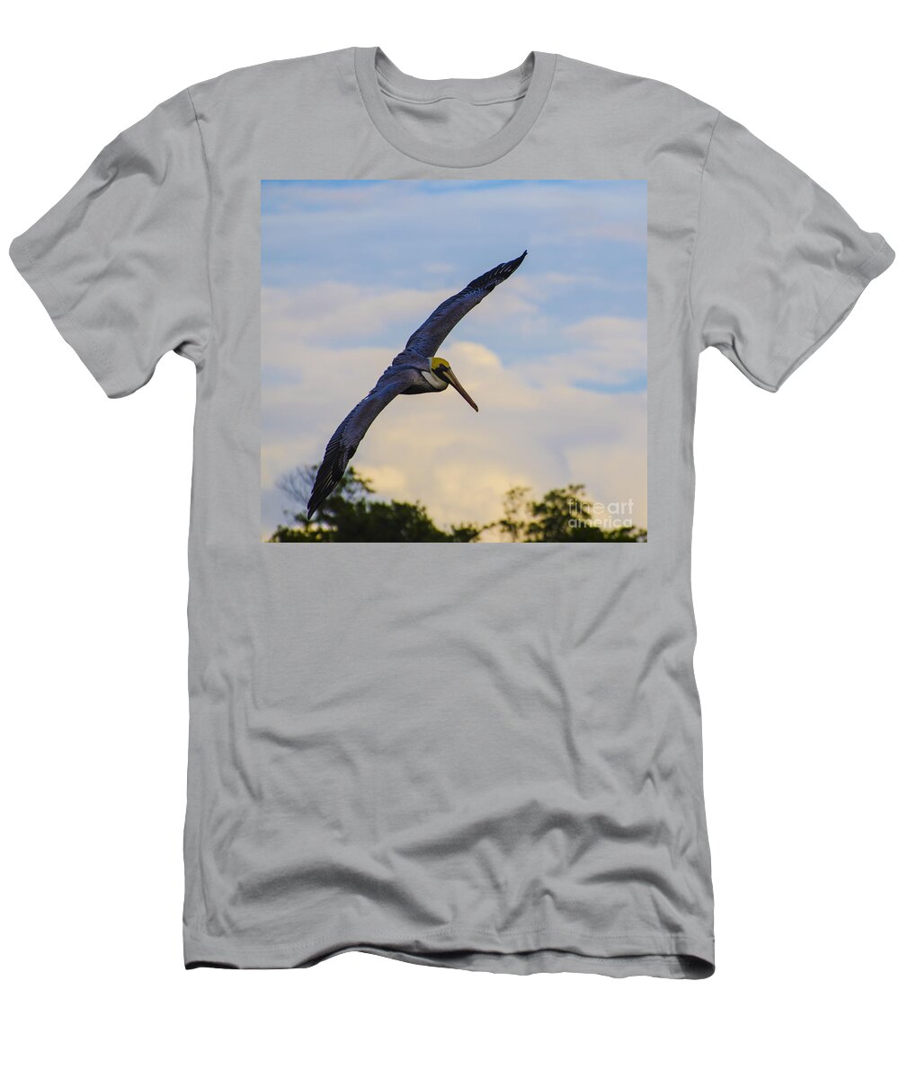 Pelican T-Shirt featuring the photograph Fly Away by Judy Wolinsky