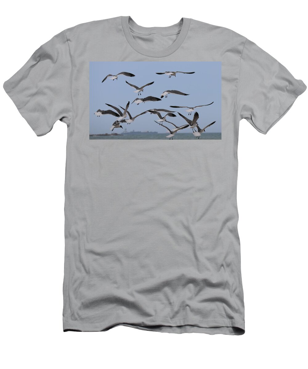Wild T-Shirt featuring the photograph Flying Gulls by Christy Pooschke